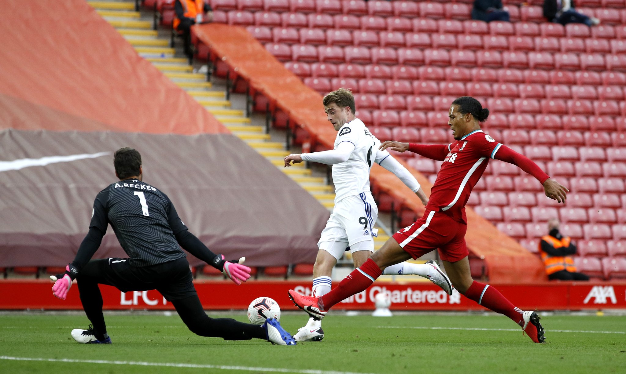 凯恩的故事 凯恩的故事